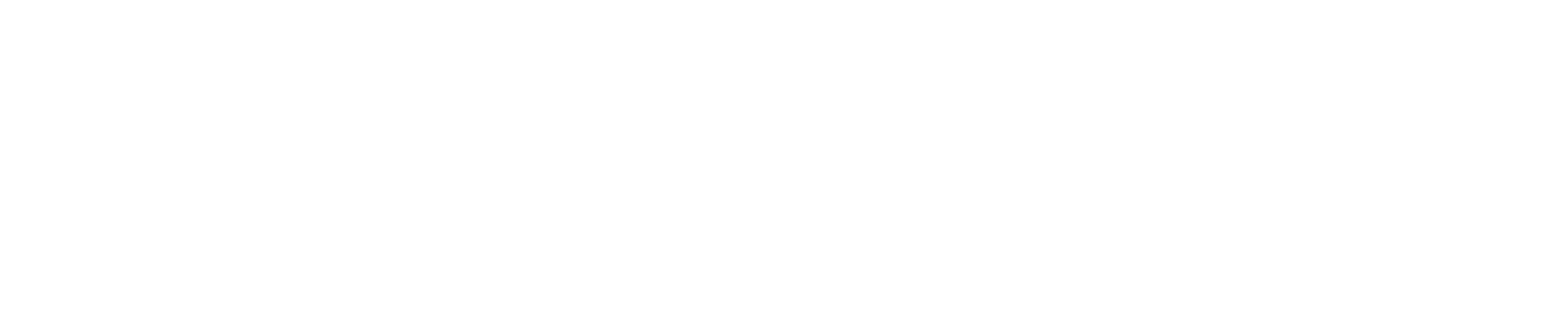 Connect Stem logo-white4-01